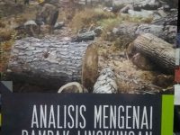 Buku Original Lingkungan - Analisis Mengenai Dampak Lingkungan F. Gunarwan Suratmo UGM Press